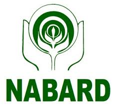 NABARD Recruitment 2014 128 Managers Posts 